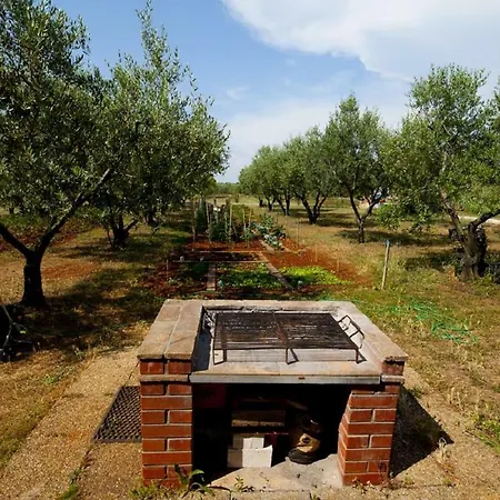 Barbara Novigrad Istria